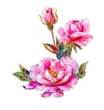 Roses isolated on white, oil painting on canvas